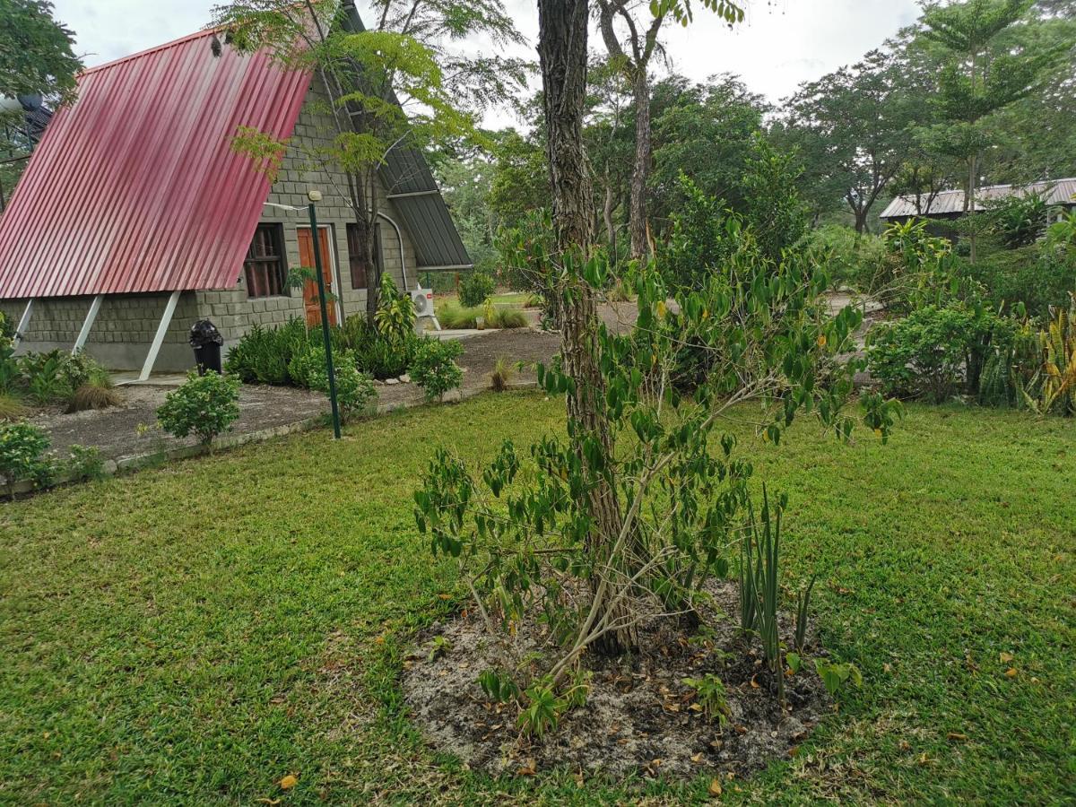 Happy Forest B&B Katima Mulilo Zewnętrze zdjęcie