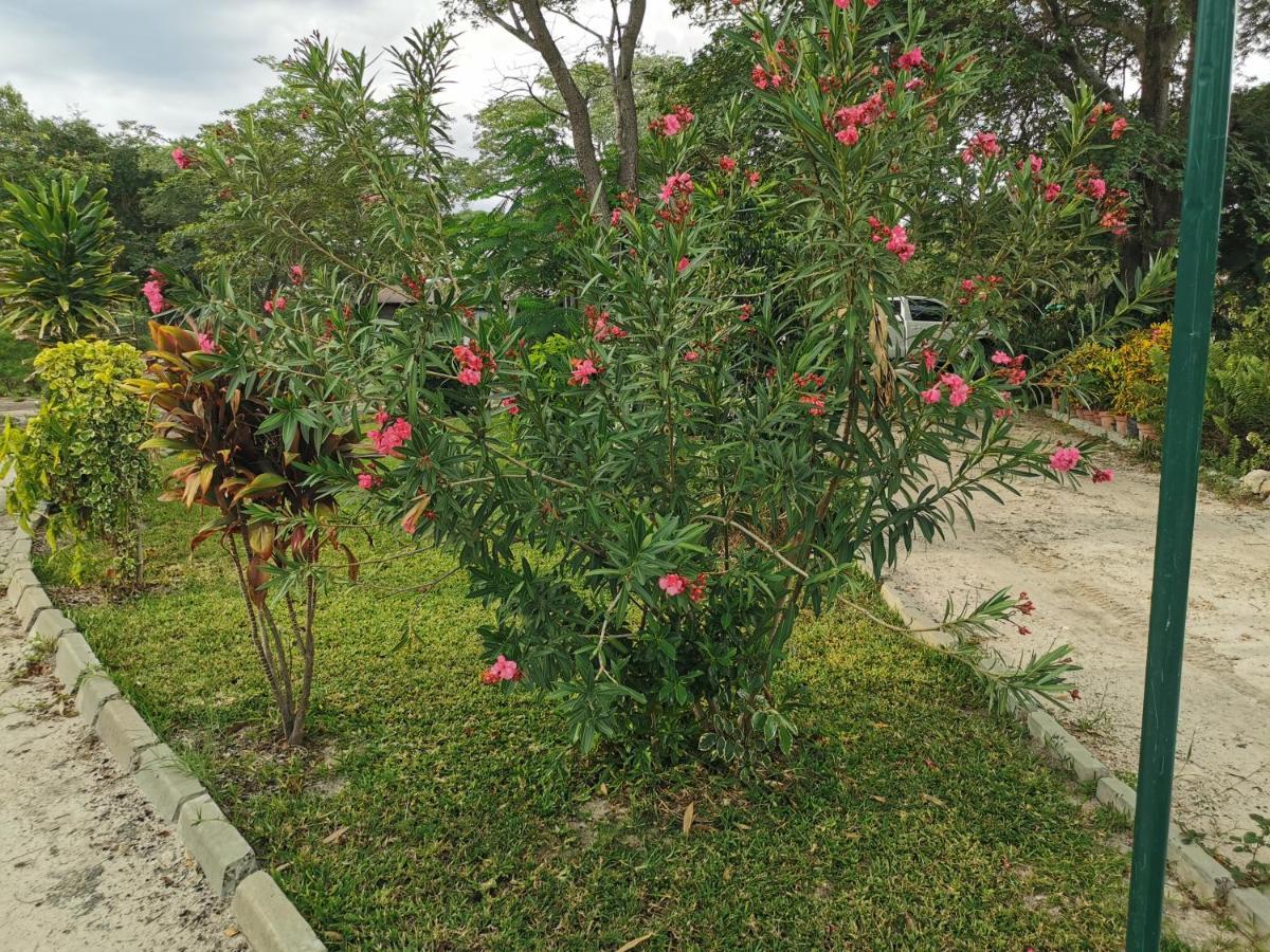 Happy Forest B&B Katima Mulilo Zewnętrze zdjęcie