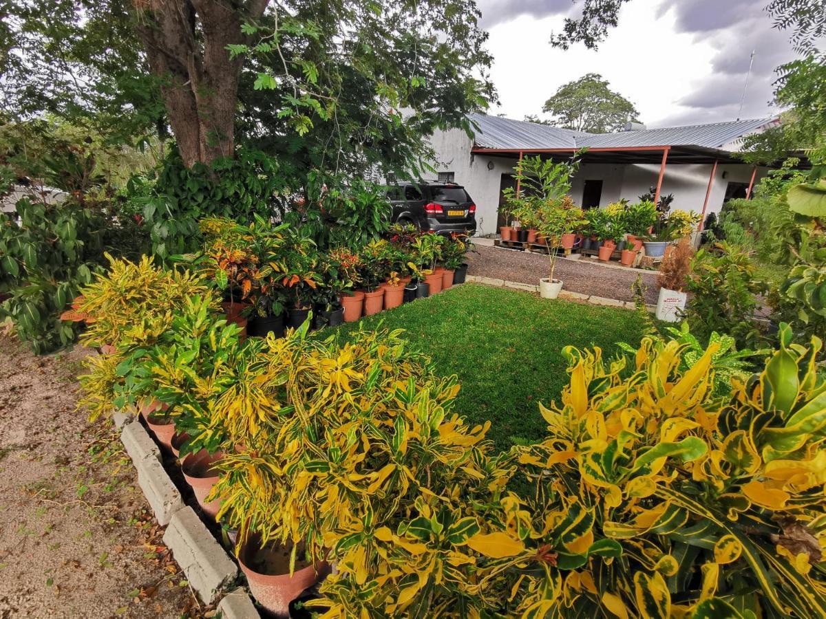 Happy Forest B&B Katima Mulilo Zewnętrze zdjęcie