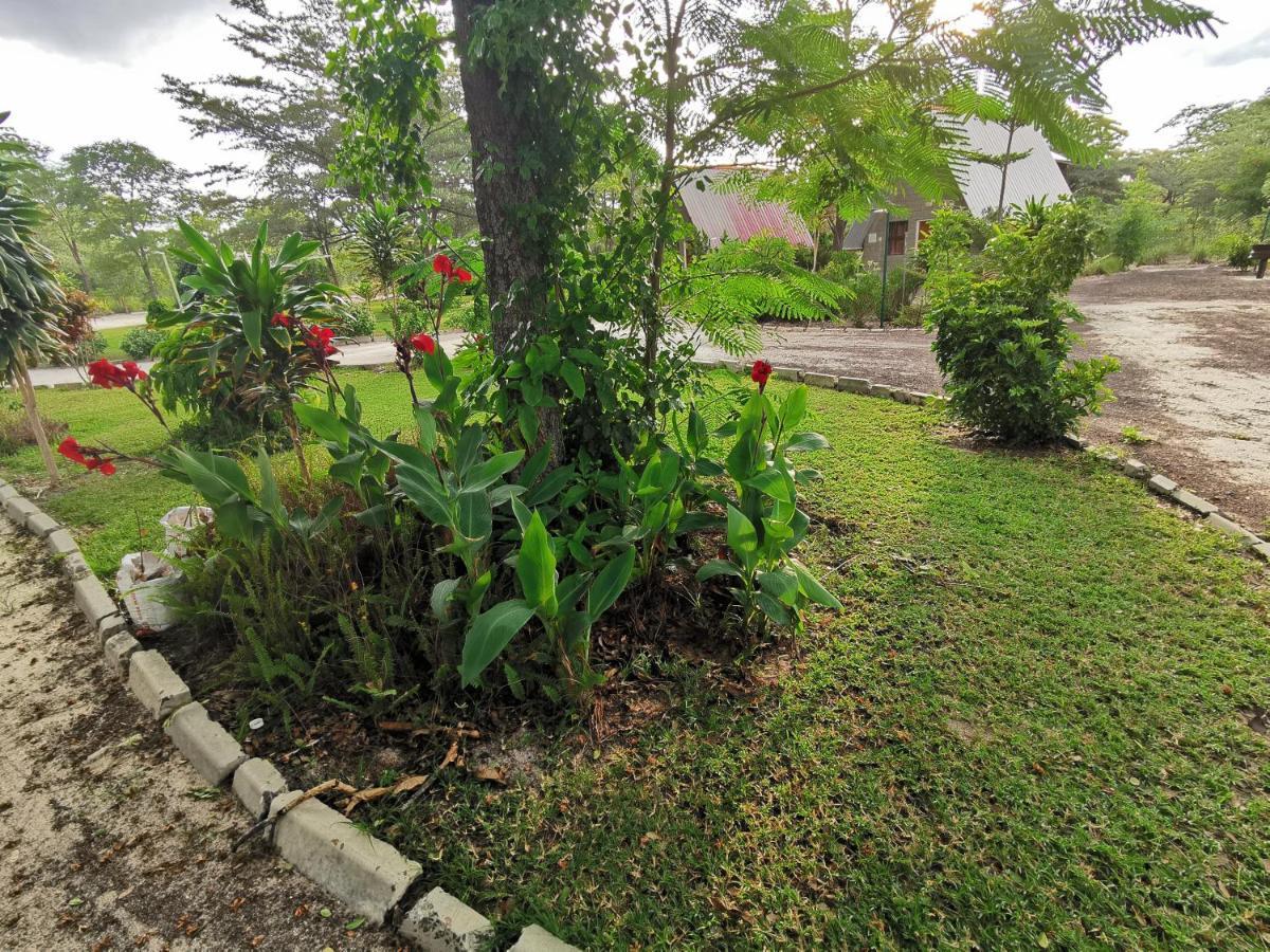 Happy Forest B&B Katima Mulilo Zewnętrze zdjęcie